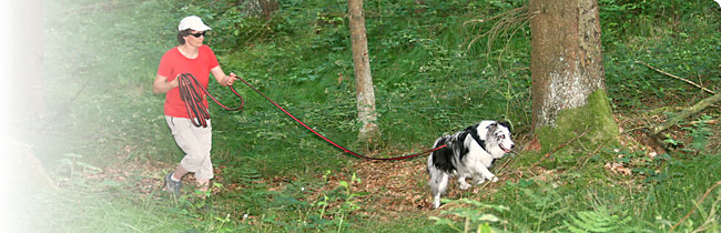 Doggy School - Die Hundeschule im Lankreis Passau