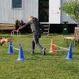 Agility Hundeschule Agility Hundeschule