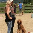 Longieren für den Hund Hundeschule Passau Longieren für den Hund Hundeschule Passau