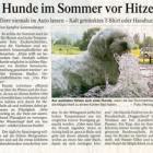 Artikel » PNP 