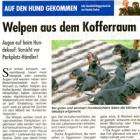 Artikel » PaWo