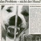 Artikel » PNP