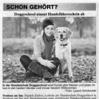 Artikel » PNP 