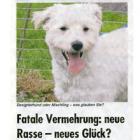 Artikel » PaWo 
