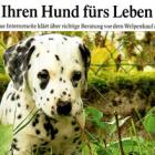 Artikel » PNP 