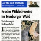 Artikel » PaWo