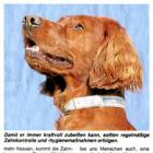 Artikel » PaWo