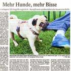 Artikel » PNP