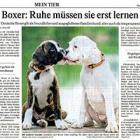 Artikel » PNP